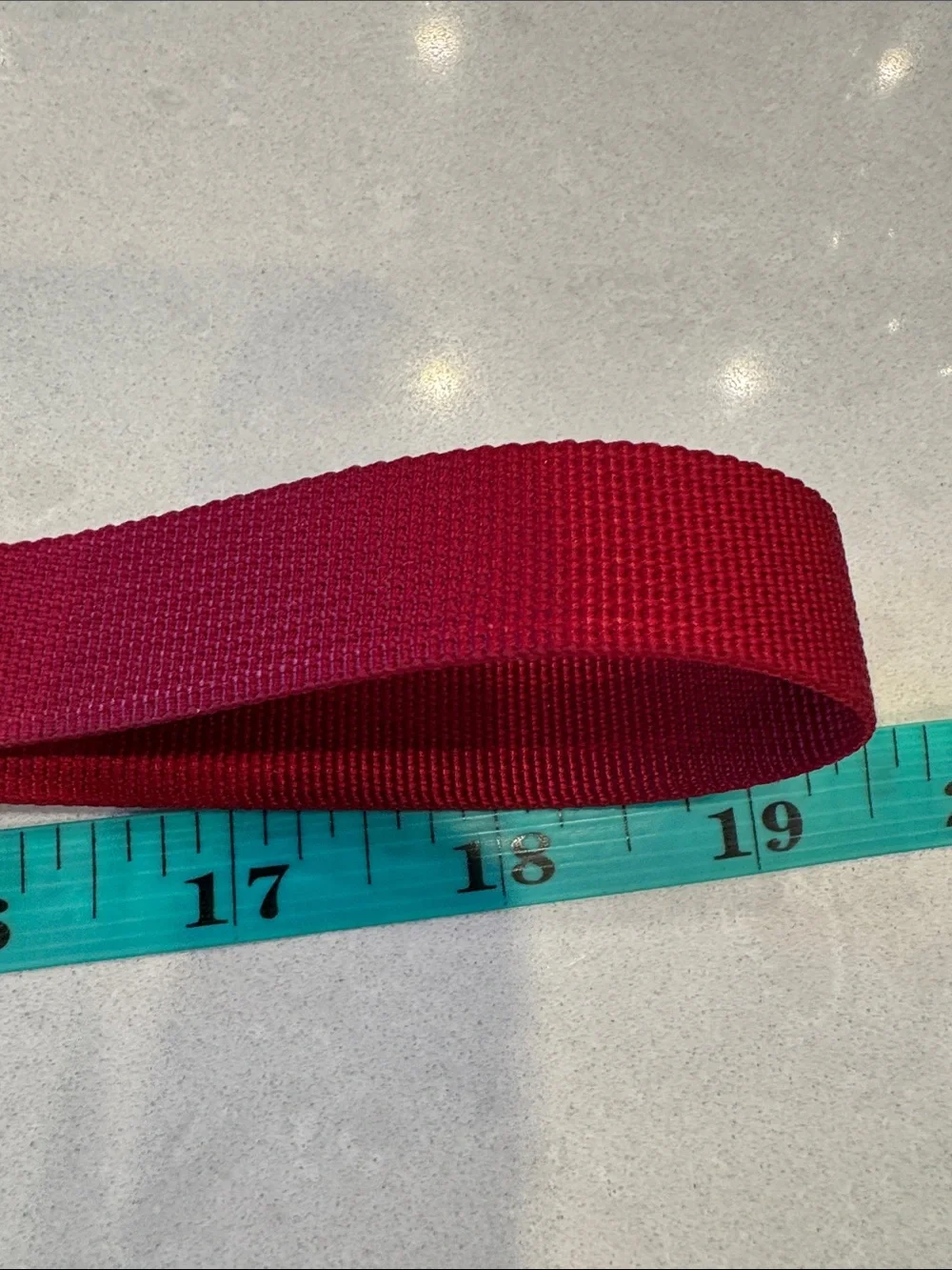 Ruffwear Crimson Nylon Dog leash? of some sort, with Logo Patch